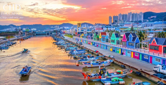 thành phố busan hàn quốc