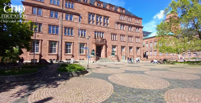 đại học freiburg