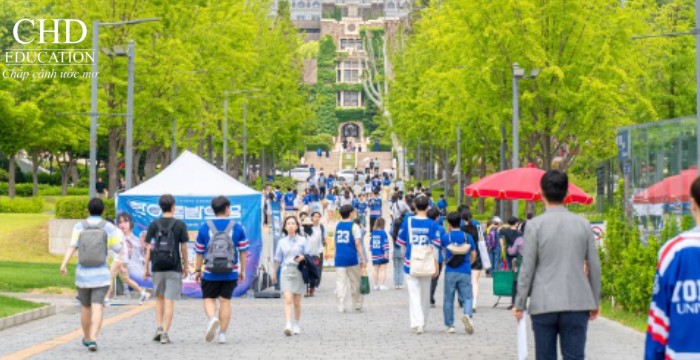 sinh viên tại đại học yonsei