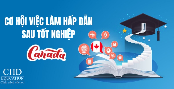 cơ hội việc làm khi học thạc sĩ tại canada