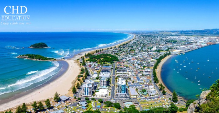 thành phố Tauranga New Zealand