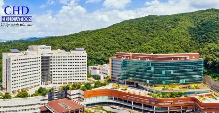 Đại học Quốc gia Seoul 