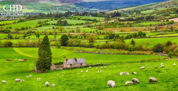 ngành nông nghiệp tại ireland rất phát triển