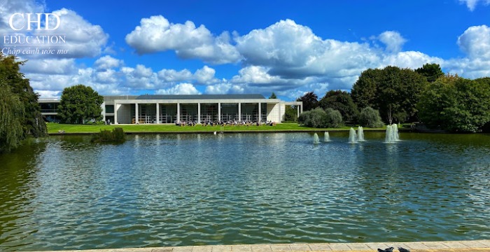 đại học university college dublin