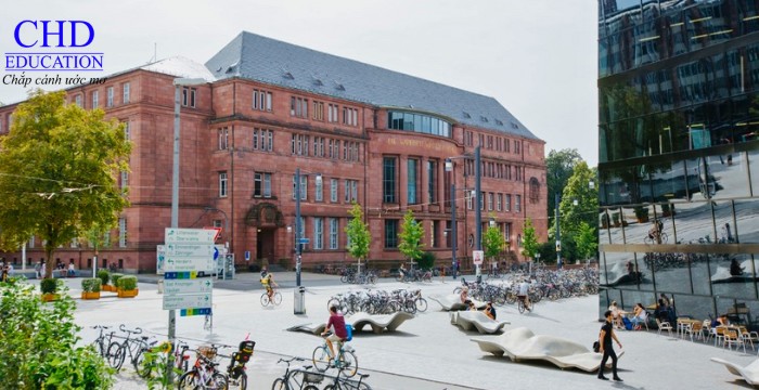 Đại học Freiburg