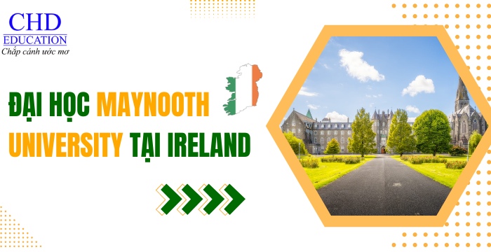 đại học maynooth university ireland