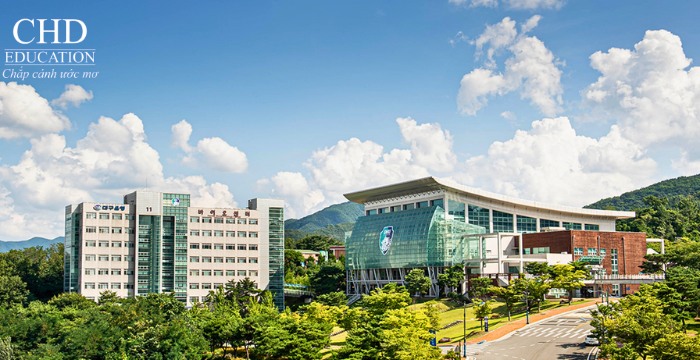 đại học daegu haany hàn quốc