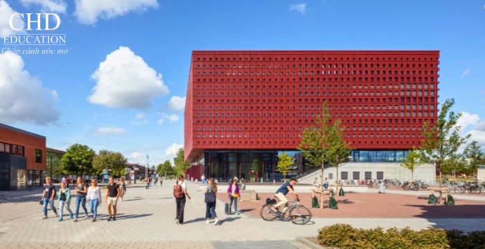 Đại học Linköping