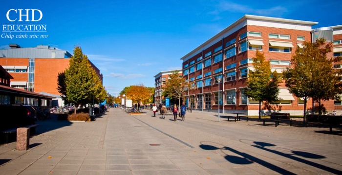 Đại học Linköping tại Thụy Điển