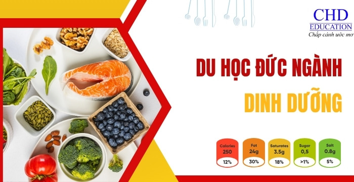 từ A đến Z về du học đức ngành dinh dưỡng 