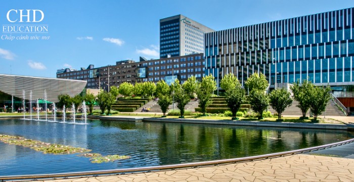 Đại học Erasmus University Rotterdam 