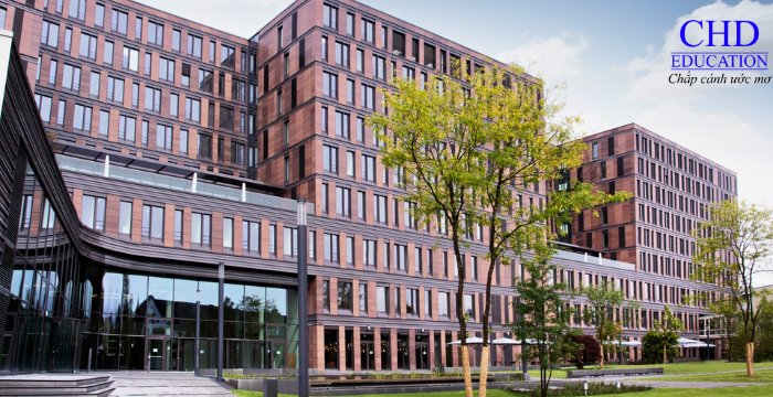 Frankfurt School of Finance and Management