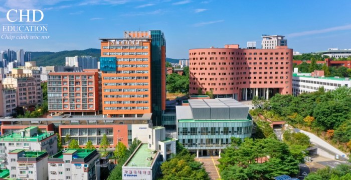 Đại học Công giáo Hàn Quốc