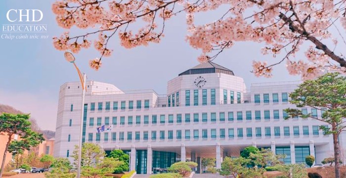 Đại học Dankook
