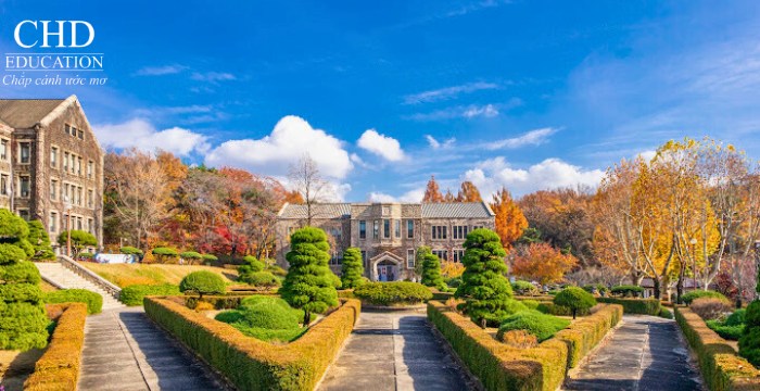 Đại học Yonsei Hàn Quốc