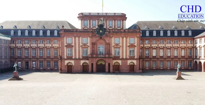  Trường Kinh doanh Mannheim