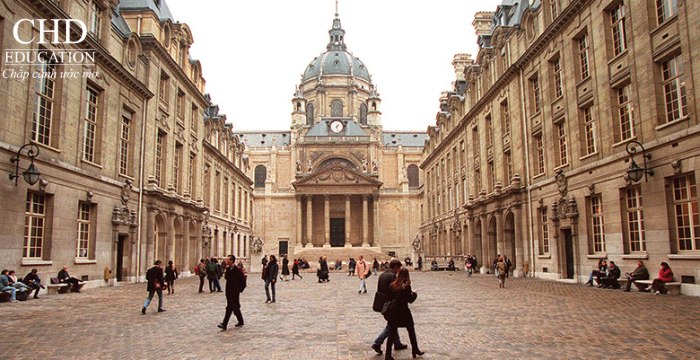 học ngành sinh học tại Đại học Sorbonne