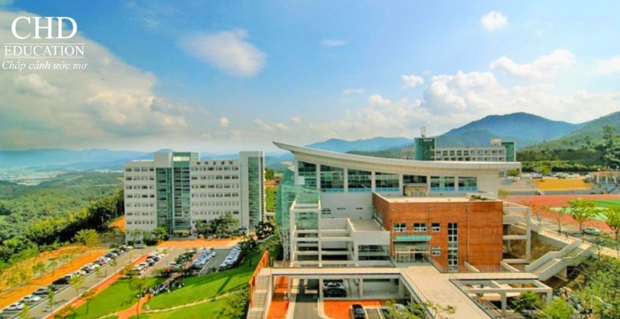 Đại học Daegu Haany