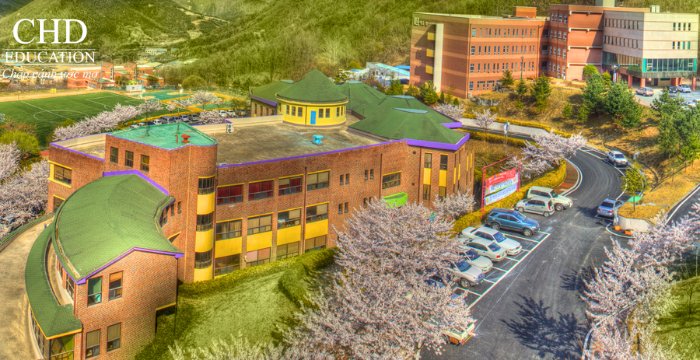 Đại học Nghệ thuật Daegu