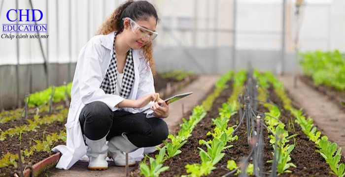 cơ hội việc làm ngành Khoa học môi trường