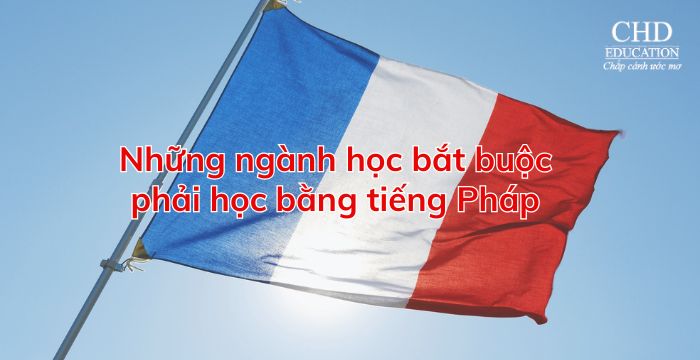 Ngành học bắt buộc học bằng tiếng Pháp