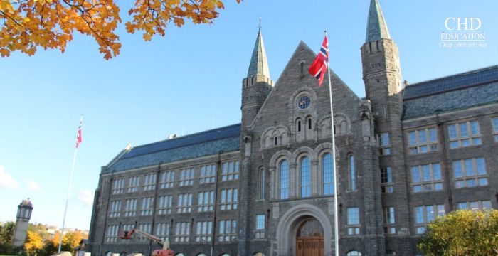 học thêm tiếng Na Uy dù học bằng tiếng Anh