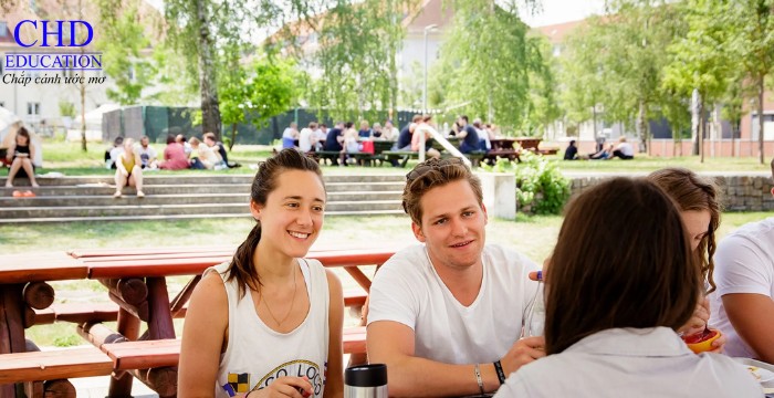 sinh viên Đại học Potsdam