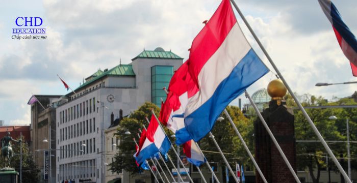 Các loại học bổng chấp nhận linh hoạt về tiếng Anh