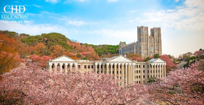 Đại học Kyung Hee