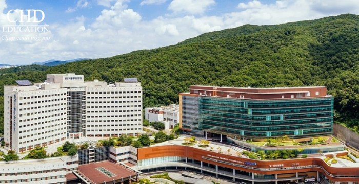 Đại học Quốc gia Seoul