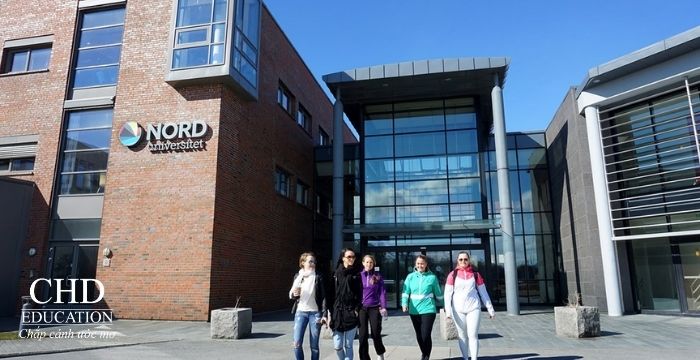 Du học Na Uy: Nên chọn đại học công lập hay tư thục?