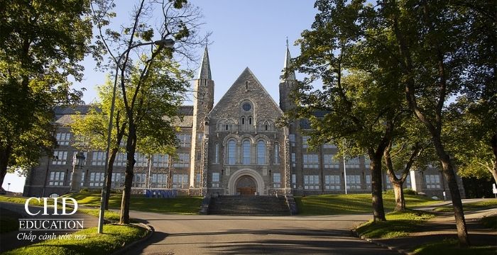 Du học Na Uy: Nên chọn đại học công lập hay tư thục?