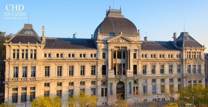 Top 3 trường đào tạo ngành Kinh tế hàng đầu tại Lyon