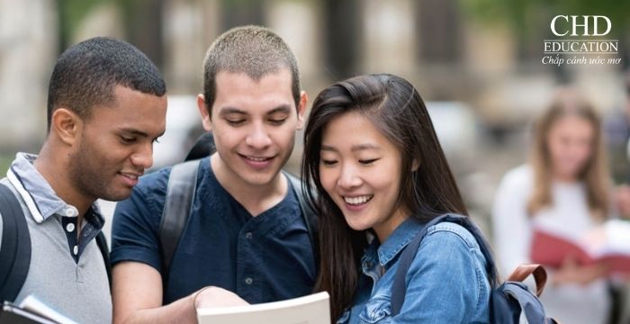 DU HỌC HÀ LAN TẠI AMSTERDAM: ĐIỀU KIỆN, CHI PHÍ & CƠ HỘI NGHỀ NGHIỆP 2025