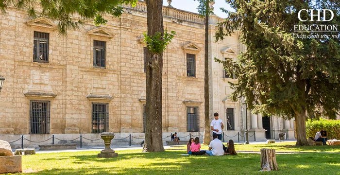 học tại Đại học Seville