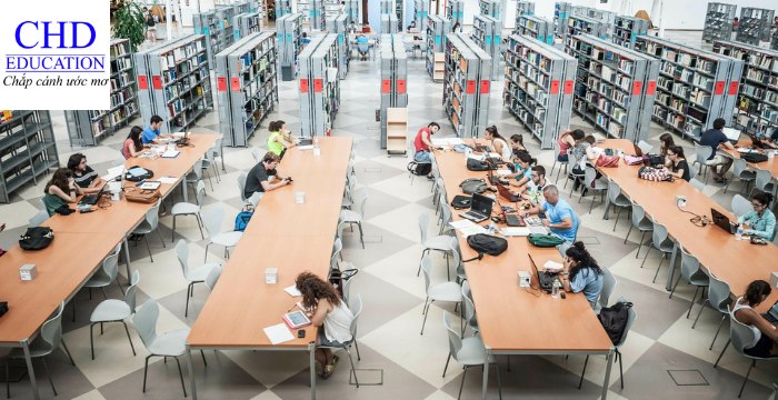 cơ sở vật chất của Đại học Seville