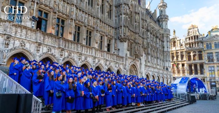 học cử nhân tại VUB Bỉ