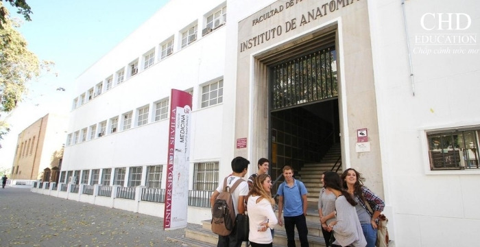 sinh viên tại Đại học Seville