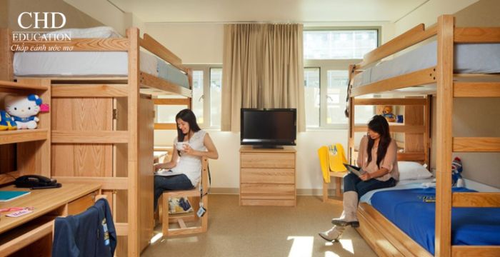 TỔNG HỢP CÁC LOẠI HÌNH NHÀ Ở CHO DU HỌC SINH TẠI ÁO: KÝ TÚC, WG, THUÊ RIÊNG