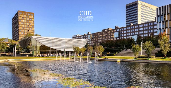 Lời khuyên chọn trường theo ngành học