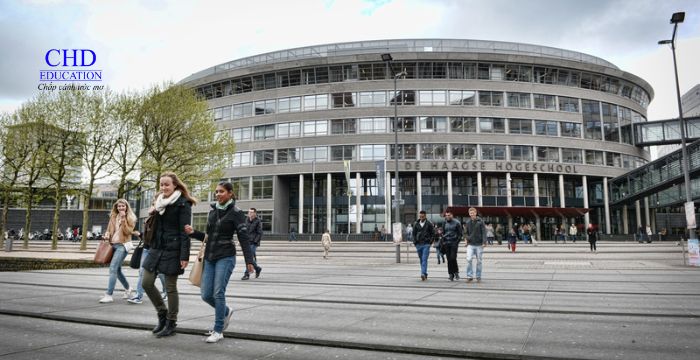 Những trường đứng đầu Hà Lan theo các lĩnh vực