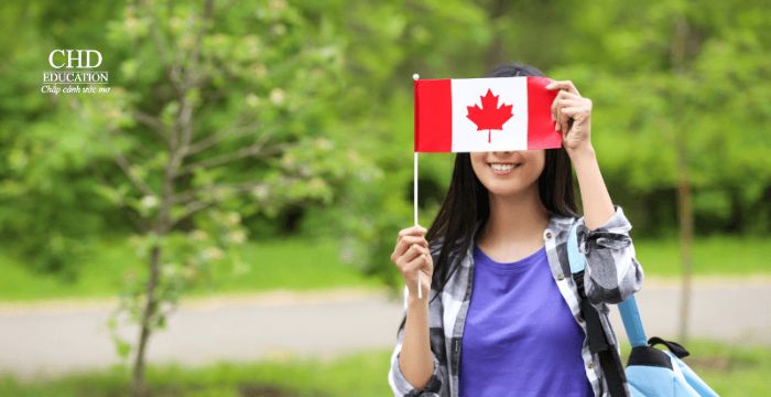 Lời khuyên từ chuyên gia tư vấn du học Canada