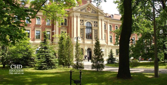 Top 5 trường đào tạo ngành Kinh tế & Quản trị tốt nhất ở Ba Lan