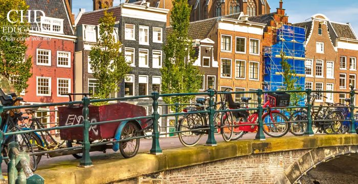 thành phố The Hague