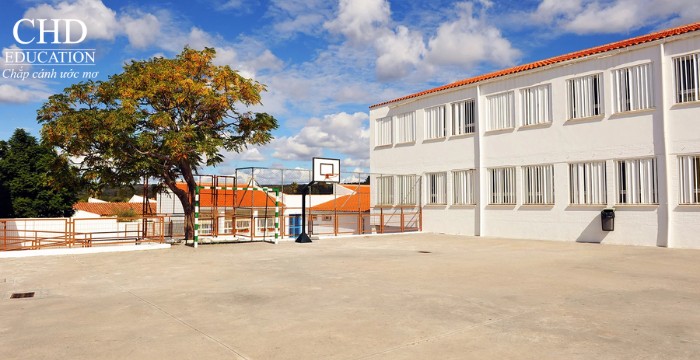 du học Tây Ban Nha chọn trường nào