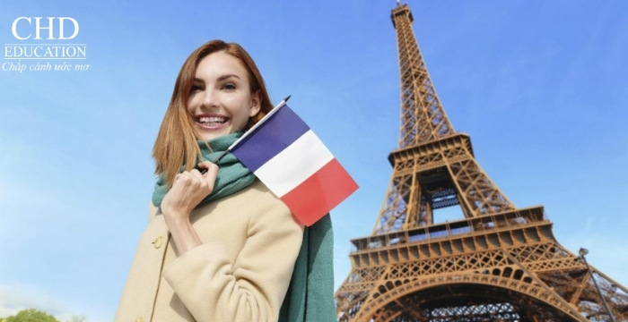 kinh nghiệm khai hồ sơ EEF chuẩn và chính xác nhất