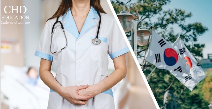 yêu cầu về sức khỏe để du học Hàn Quốc
