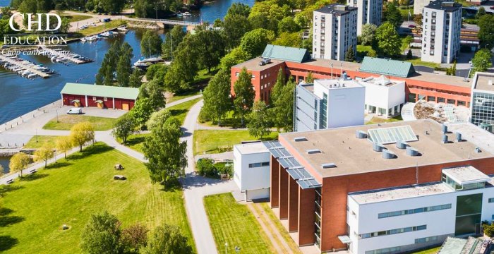 Đại học Vaasa Phần Lan