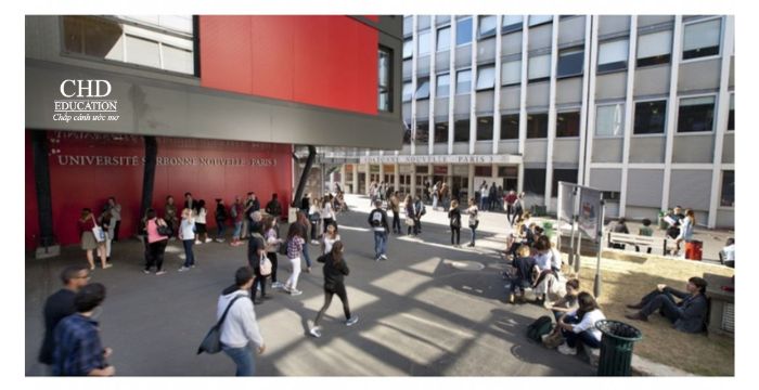 Dự bị tiếng Pháp trình độ C1 – C2 trường Paris 3 (DUEF)