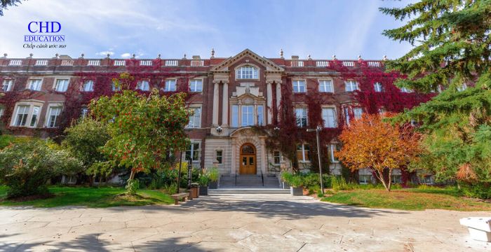 Điều kiện tuyển sinh và yêu cầu đầu vào